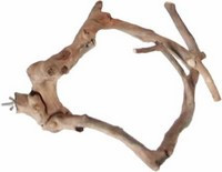 A&E Extra Small Java Wood Multi Branch Bird Perch
