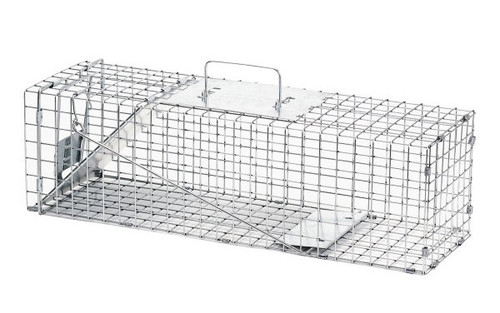 Havahart 1-Door Squirrel Trap, Medium