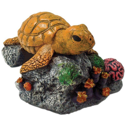 Blue Ribbon Exotic Environments Yellow Sea Turtle On Coral Ornament