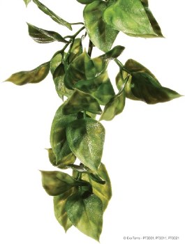 Exo Terra Jungle Plant, Amapallo, Small
