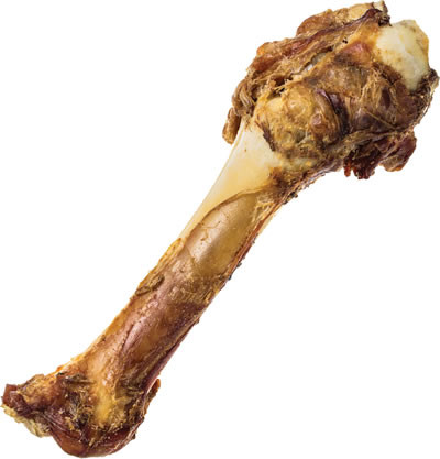 Natural Shank Bone