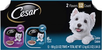 Cesar Gourmet Filets in Gravy Beef Variety Pack, Wet Dog Food, Case of 12, 3.5oz