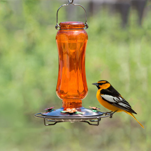 Perky Pet Glass Carnival Oriole Feeder