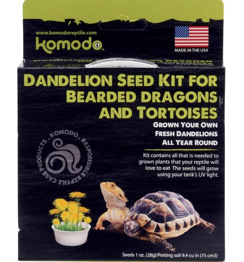 Komodo Grow Your Own Dandelion Kit