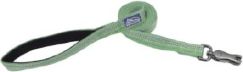 1 inch x 6ft Reflect Leash Meadow
