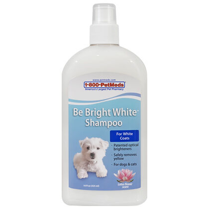 Be Bright White Shampoo