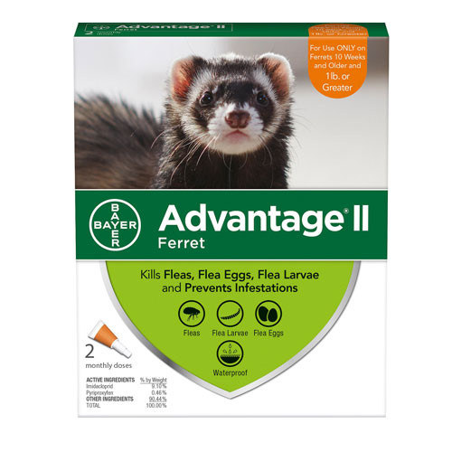 Bayer Advantage II Flea Treatment For Ferrets, 2 Pack