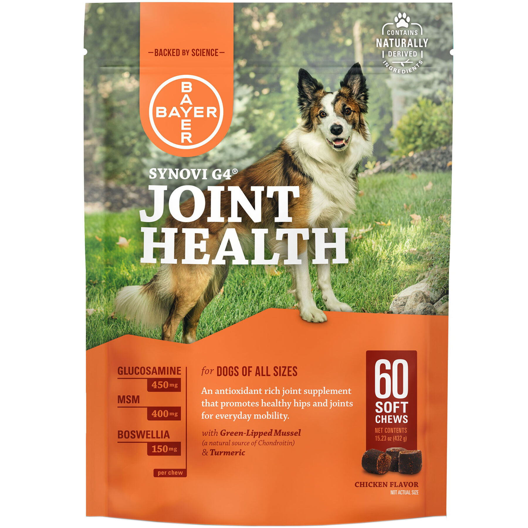 Synovi G4 Soft Chews