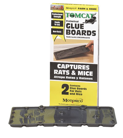 Tomcat Rat Glue Board
