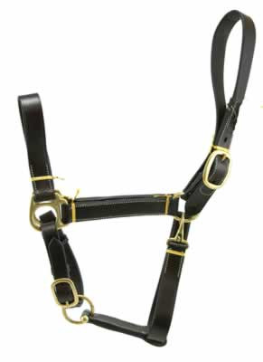 Gatsby Stable Halter With Snap, Cob