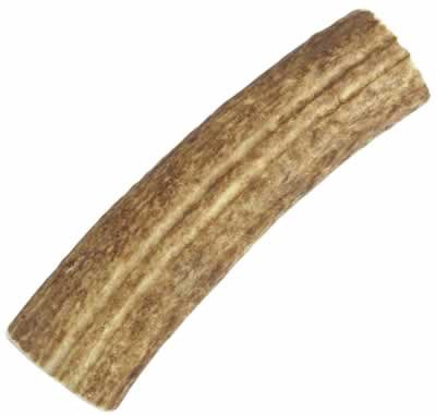 Happy Dog of Cape Cod Sliced Elk Antler, Medium