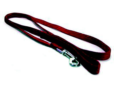 Hamilton Single Thick Red Nylon Lead 5/8 Inch x 6 Feet