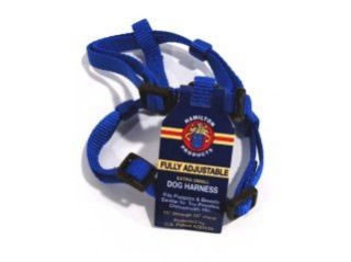 Hamilton Extra Small Adjustable Nylon Comfort Harness, Blue