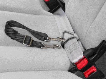 Adjustable Seatbelt Leash With Snap