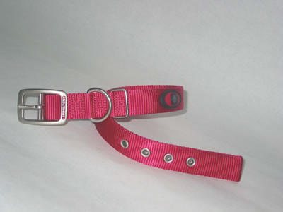 Hamilton Raspberry Double Thick Deluxe Nylon Dog Collar, 1" x 22