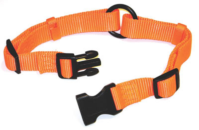Adjustable Bright Orange Saferite Dog Collar, 1 inch x 18-26 Inches
