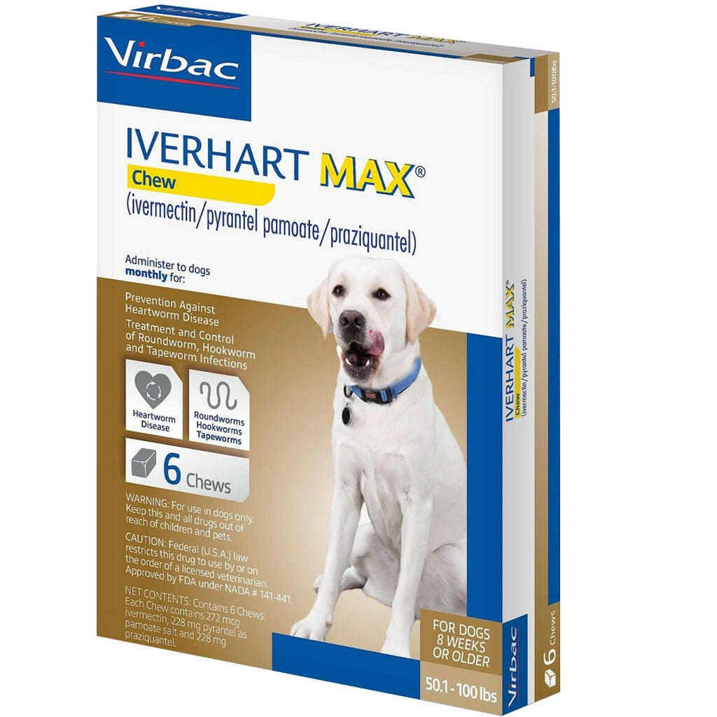 Iverhart Max Chew for Dogs (Ivermectin & Pyrantel) 50.1-100 lbs