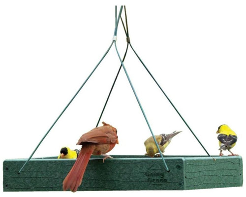 Audubon Going Green Platform Feeder