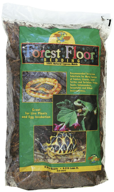 Forest Floor Bedding 8 Quart