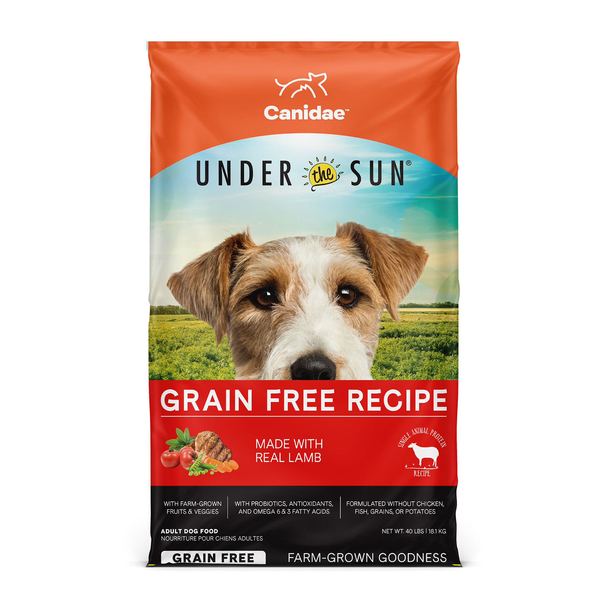Canidae Under The Sun Grain Free Lamb Recipe Dry Dog Food