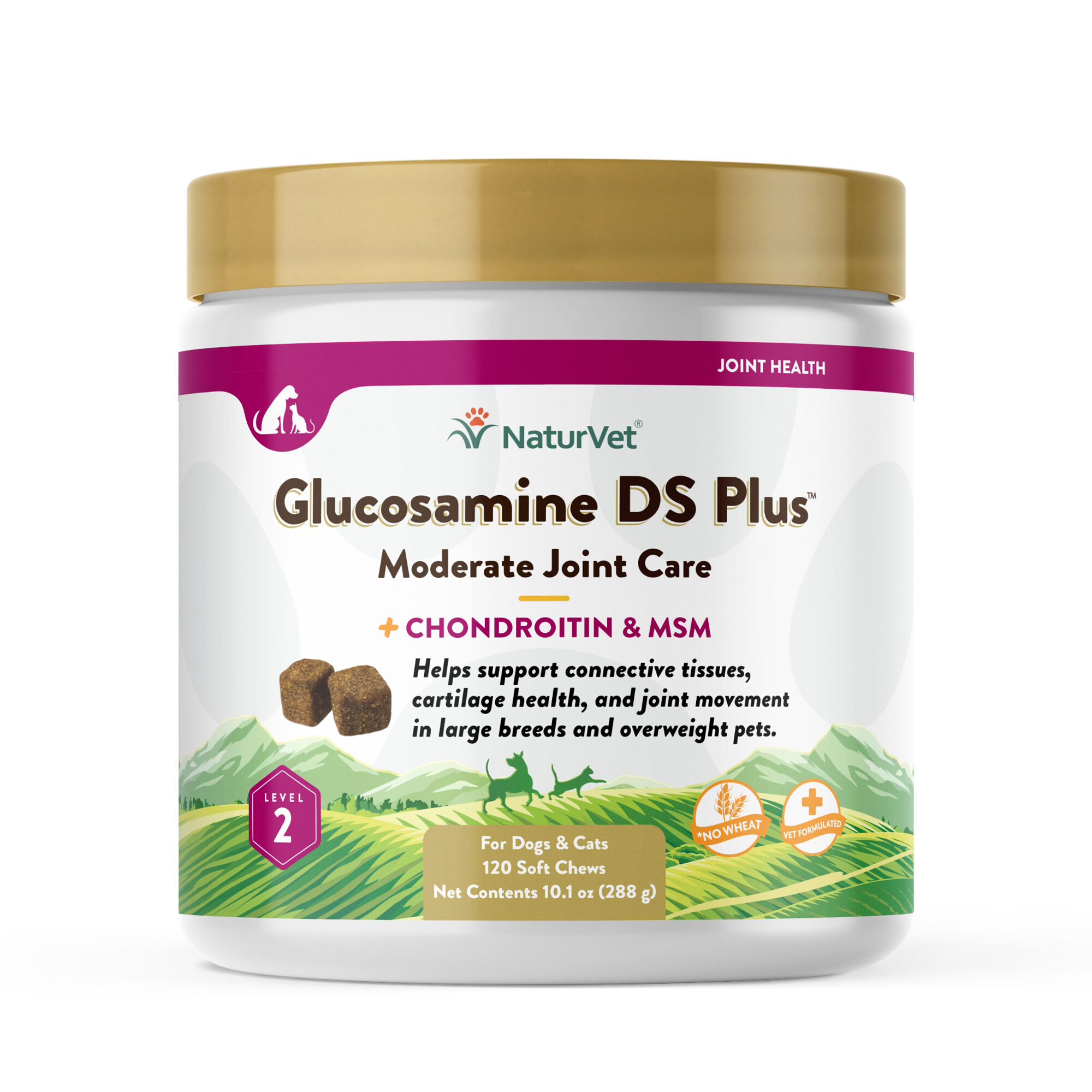 NaturVet Glucosamine DS Plus Soft Chews