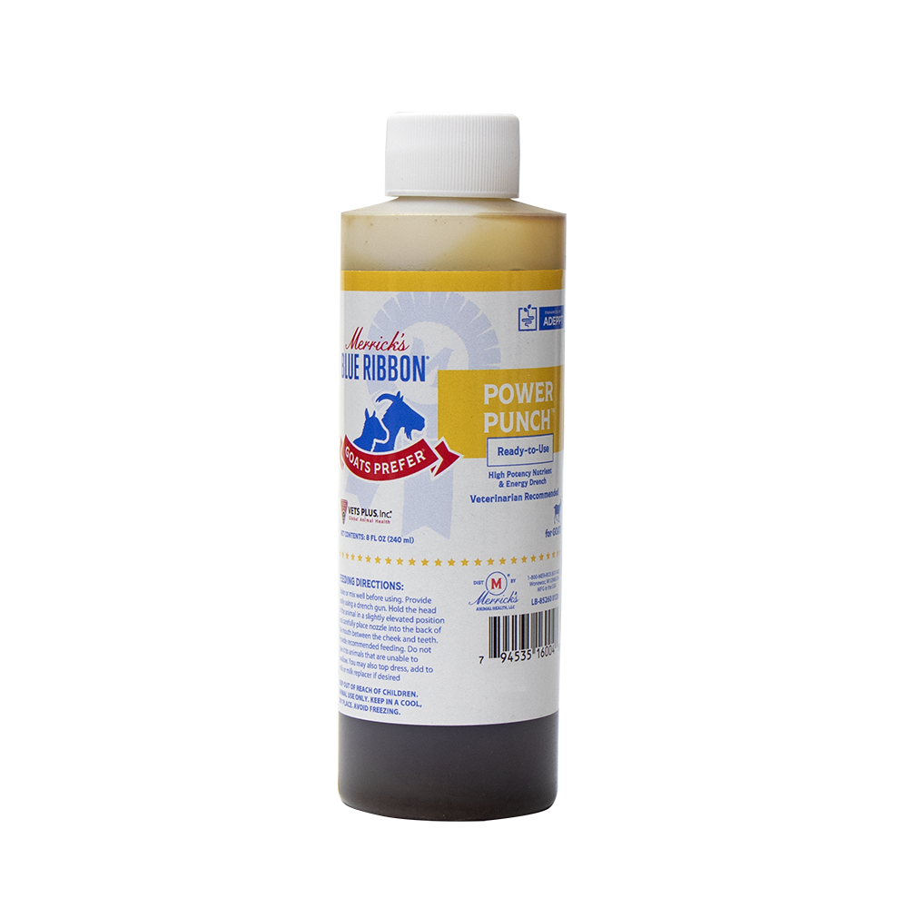 Merrick's Blue Ribbon Goats Prefer Power Punch 8 oz.
