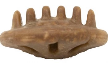 Starmark Everlasting USA Treat, Chicken, Dog Treats, Small, 2 Count
