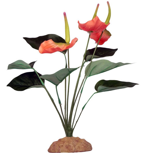 Komodo Anthurium Bush Reptile Tank Plant w/ Weighted Base
