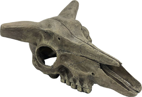 Komodo Deer Skull Tank Decor