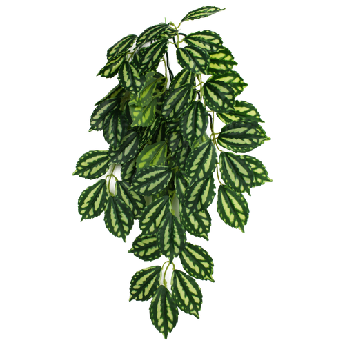 Komodo Climbing Two-Tone Aquarium Plant