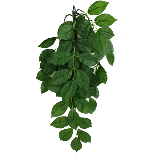 Komodo Climbing Green Leaf Aquarium Plant