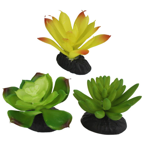 Komodo Yellow/Green Succulent Reptile Tank Plant, 3 Pack