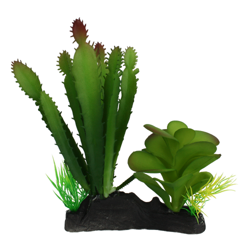 Komodo Cactus & Succulent Reptile Tank Plant w/ Weighted Base