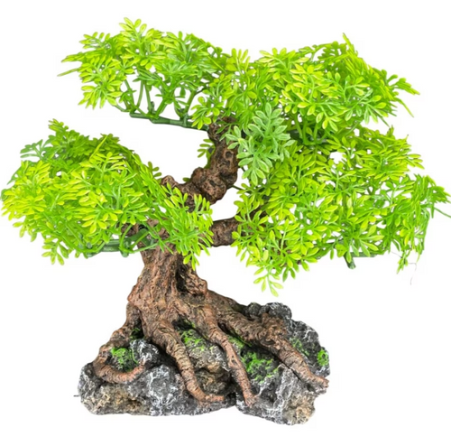 Komodo Bonsai Tree Tank Ornament