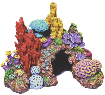 Caribbean Living Reef Small Decoration