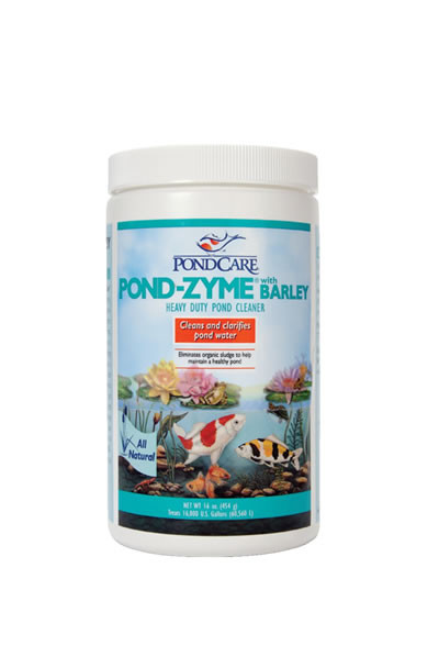 API Pondzyme Bacterial Cleaner 1