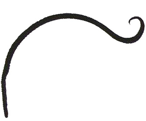 Hookery Curved Hanger With Upturned Hook, 9 Inch