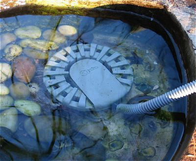 250 Watt Bird Bath Heater