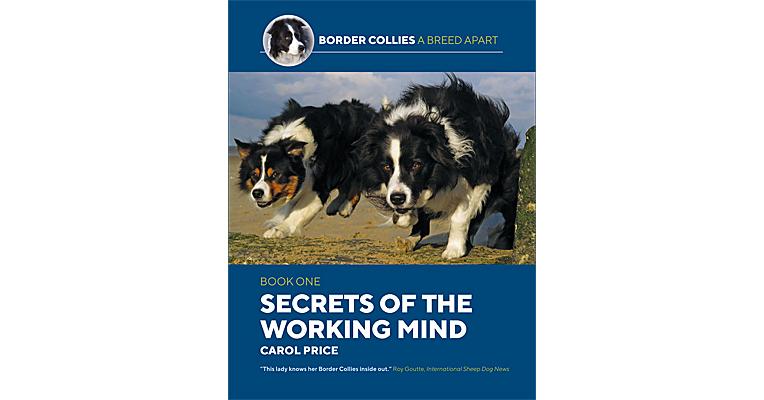 Border Collies A Breed Apart, Book 1 - Secrets of the Working Mind
