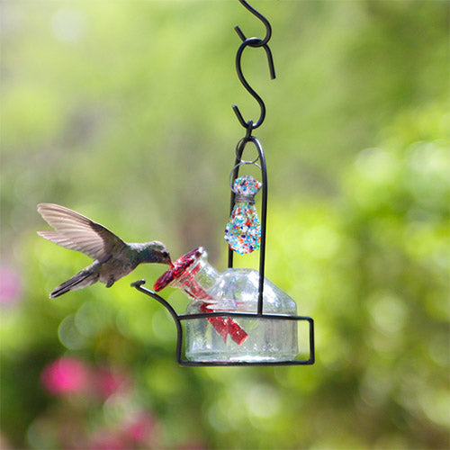 Bouquet Sparkle Hummingbird Feeder - Clear
