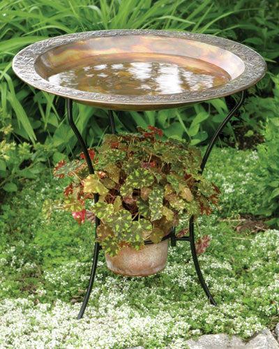 Flamed Bird Bath with Planter