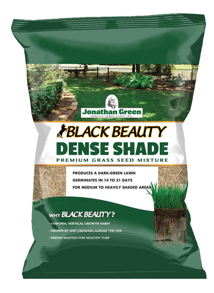 Jonathan Green Black Beauty® Dense Shade Grass Seed