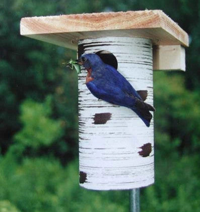 Gilbertson Nest Box - NABS Approved - Cedar Roof