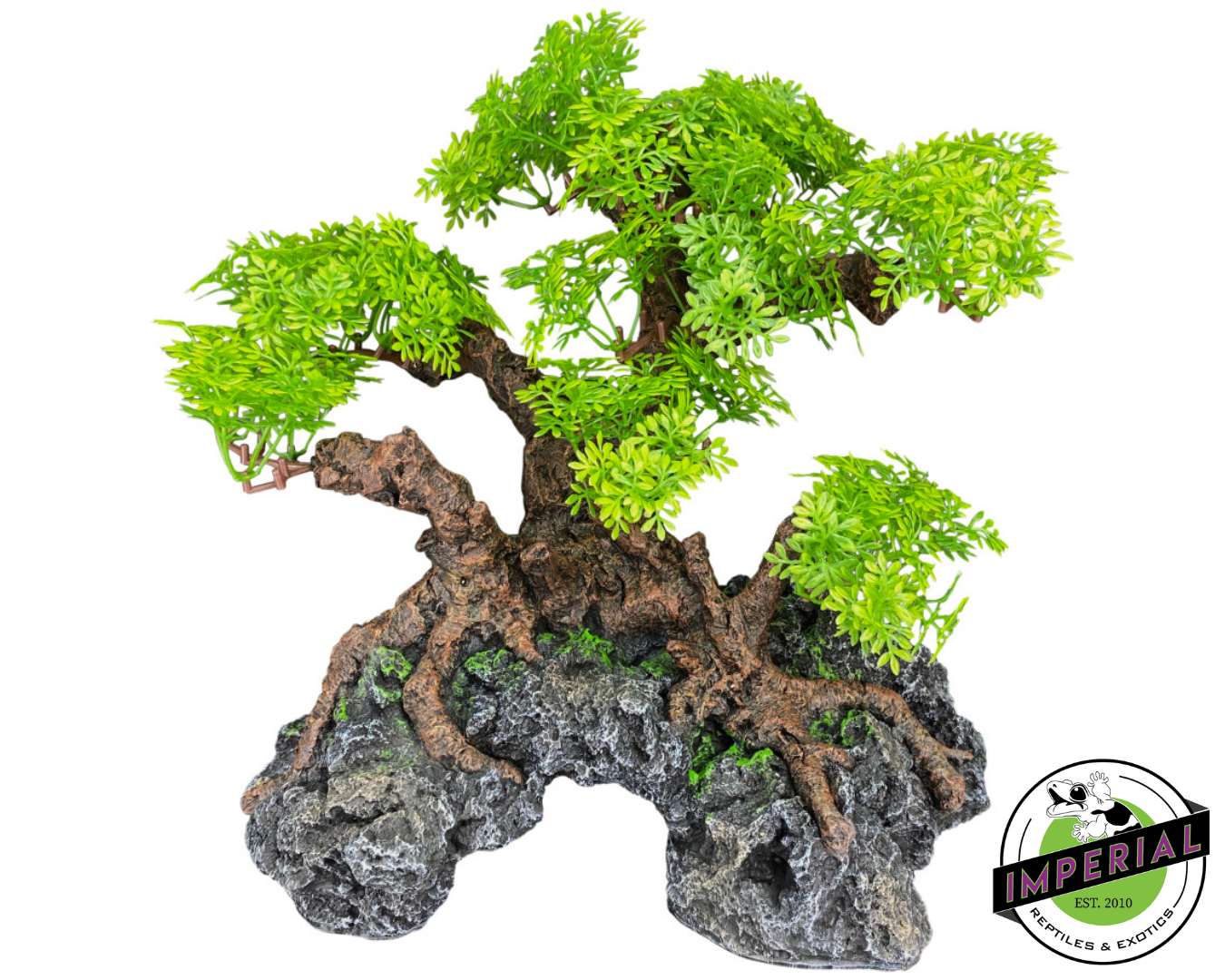 Komodo Bonsai Tree w/ Hide 18 IN