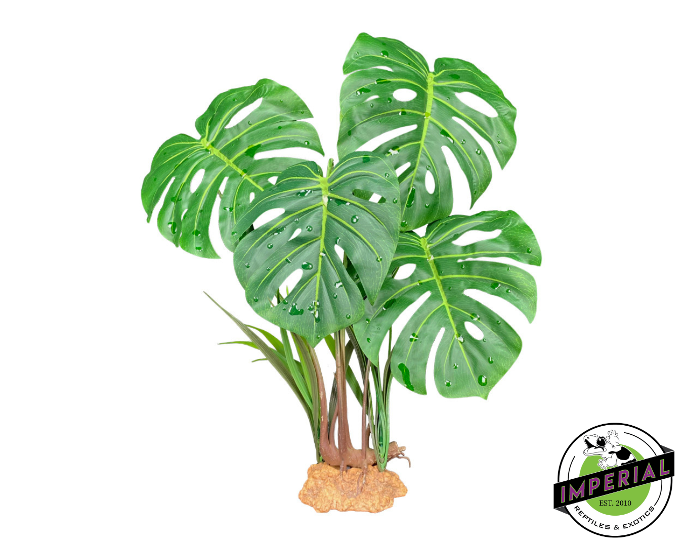 Komodo Standing Plant Monstera Leaf 18 IN
