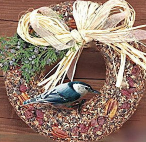 Gourmet Pecan and Fruit Wreath