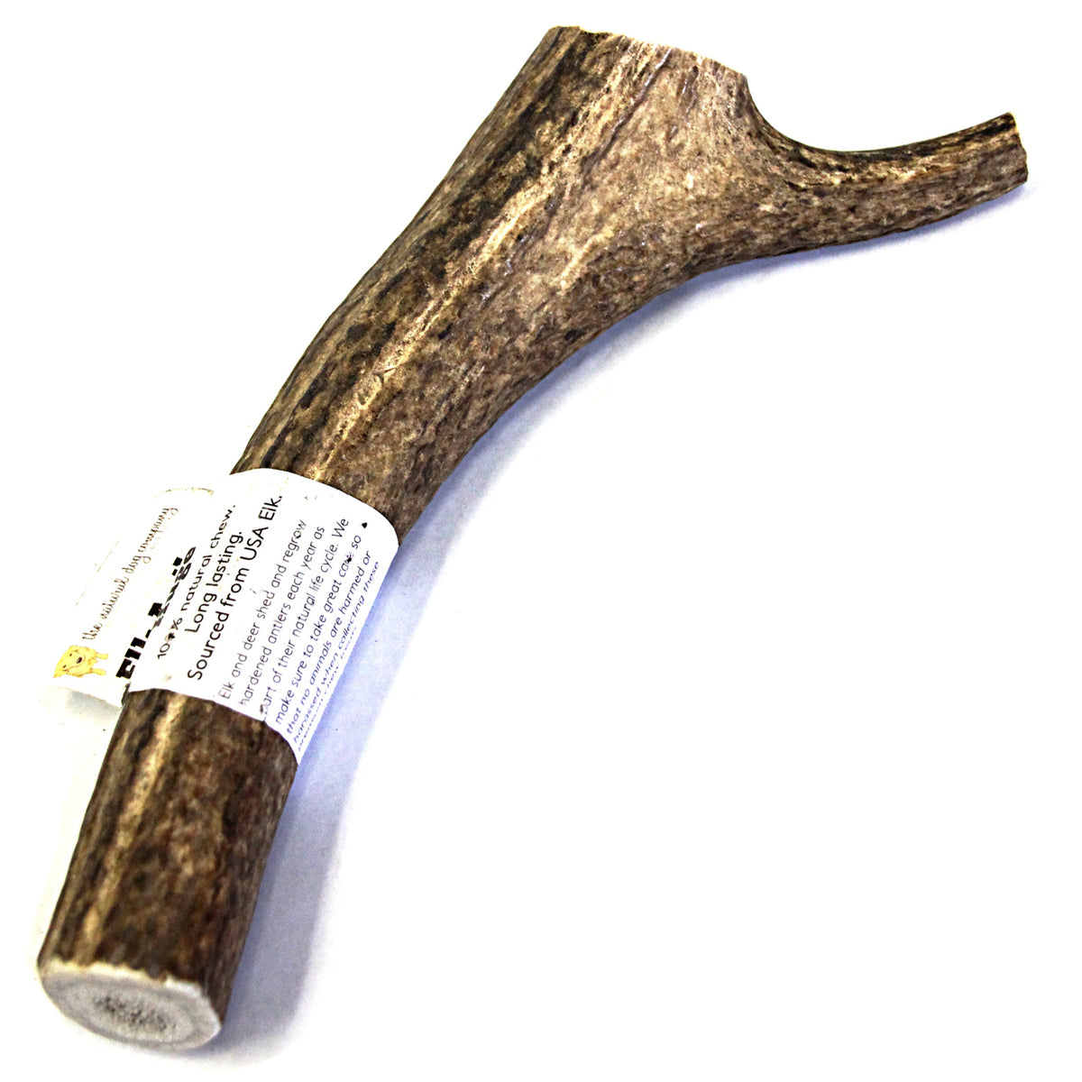 Elk Antler - Huge Whole