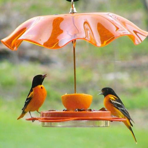 Oriolefest Oriole Bird Feeder - Feeder Only