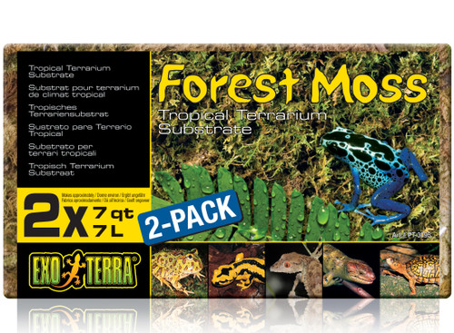 Exo Terra Forest Moss Terrarium Substrate Brick, 2 Pack