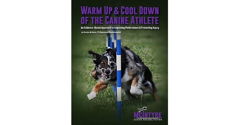 Warm Up and Cool Down of the Canine Athlete